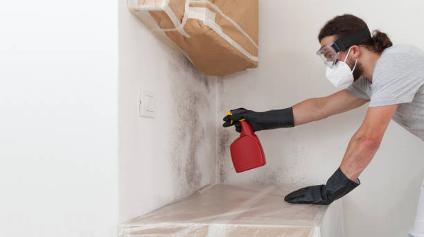 Professional Bathroom Mold Removal technician working in Holliston, MA