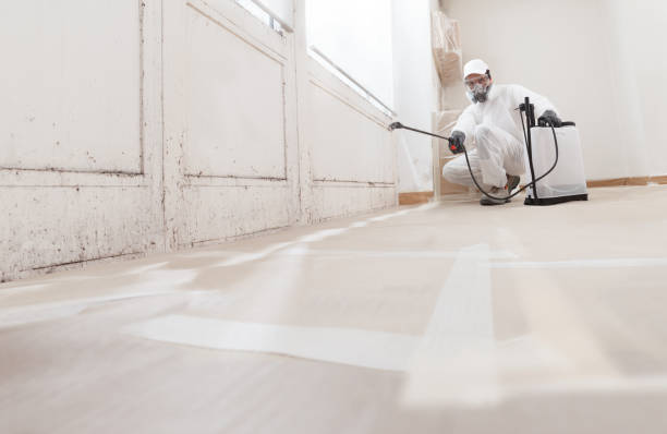 24/7 Emergency Bathroom Mold Removal experts in Holliston, MA